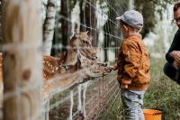 Thousands Descend on Detroit Zoo as Autism Hero Walk Battles Michigan Funding Cuts