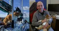 Race to replace deaf sailor's 'ears' after loss of beloved cat