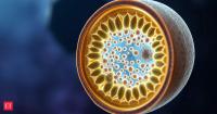 Your cells’ tiny power stations may be doing something quantum: scientists find a mysterious vibration that could influence how the body produces energy