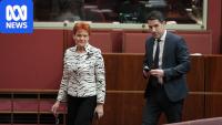 One Nation says election of Alex Antic to SA Liberal president a 'win'