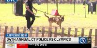 Bark and bite: K9s show off skills at 34th annual Connecticut Police K9 Olympics