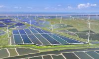 China's green drive fuels global shift to clean energy, says expert