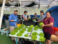 Free biocultural garden and farming education workshops at UH Maui College