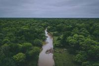 The Impenetrable as a classroom: students toured the forest to learn about tourism and conservation in Chaco