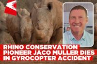 Rhino conservationist Jaco Muller dies in gyrocopter crash
