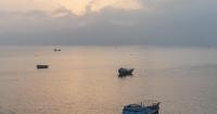 Hormuz oil shipments hit six-month high, U.S. commander says