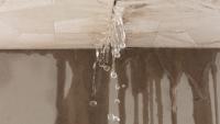 Florida homeowners can tap new repair fund for leaks, faulty wiring, and accessibility upgrades