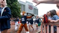 Check out our Auburn football vs Florida photo gallery, top images