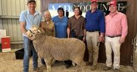 Strong commercial and stud support as average lifts at Moorundie Park