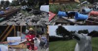 University of Mexico K9 Teams Tackle Rubble, Obstacles Ahead Of National Emergency Drill