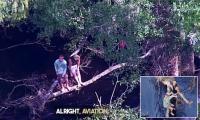 Florida men cling to tree over alligator-infested waters after capsizing boat