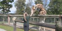 Roar & Explore vendor show highlights local businesses at Hovatter’s Wildlife Zoo