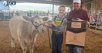 Champions named in Washington County Fair Commercial Halter Heifer Show