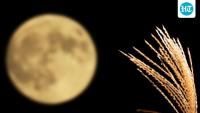 Why is the September full moon called the harvest moon? Know the timings in California, Utah, and Texas