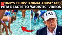 ‘SICK And SADISTIC’?! Trump Golf Club Fish Video Sparks FURY Over Disturbing Pool Stunt