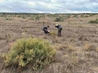 Butterfly Pavilion Scientists Complete Final Survey of Northwest Parkway Pollinator Corridor