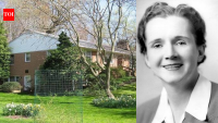In 1952, Rachel Carson bought a Maine cottage and studied tidal pools; six years later she began writing Silent Spring