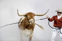 How to watch the Texas Longhorns' streaming only football game today
