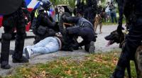 Dutch riot police break up violent far-right protest