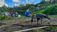 Pacific Southwest wetland projects get boost from investment by US Environmental Protection Agency