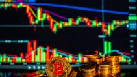 Bitcoin ETFs now hold 6% of total Bitcoin market cap
