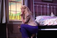 Canadian play focusing on farms and bees will be performed at Nanaimo’s Bailey Studio