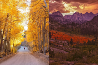‘It could give the East Coast a run for its money:’ This small California mountain town is the state’s ultimate fall foliage escape