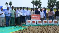 Corteva Agriscience creates awareness on pest control among farmers in Nellore