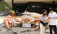 Crab-themed complex aims to be new central Japan landmark, tourist hub