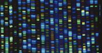 Intelligent Design Bears Good Scientific Fruit in the Study of 'Junk DNA'