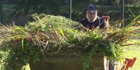 Wiggins volunteers work to restore community garden