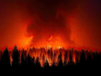 OPINION – Global warming, global warning and international politics