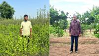 Punjab’s marginal farmers’ ‘gharelu bagichi’ model goes beyond wheat and paddy
