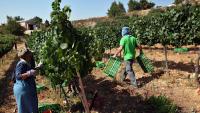 Israel’s settler economy braces for European sanctions