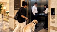 The unspoken struggle of the Indian pet owner: Taking the society lift