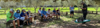 FIELD TRIP: The Olive Grove, Brooksville, Florida