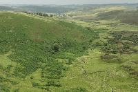 One of Scotland's largest landowners uses controversial carbon credit firm Verra for new woodland
