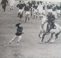 Behind barbed wire: The Springboks' extraordinary 1971 Australian tour