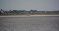 Two Somerset beaches named among UK's worst rated by visitors - here's where