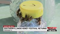 Southern Illinois Honey Festival returns Sept. 19