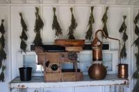 County Farm Day Offers Behind-the-Scenes Look at Agricultural Process