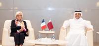 Deputy PM meets French Minister of Armed Forces