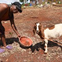Farmers facing price squeeze