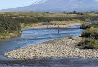 Arkansas Outdoors: State anglers chase salmon in small Alaskan streams