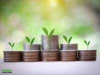 Lupin and Radico among 5 midcap stocks sold by mutual funds in August