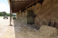 State of emergency declared to help farmers affected by a statewide hay shortage