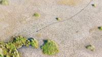 Why Florida’s drought is threatening more than lawns