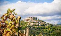 Where Europe celebrates autumn: the festivals worth travelling for in 2026