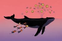 How Bitcoin Became an Emotional Tether for a Specific Type of Lost Boy