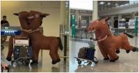 "Horse Reunion" at Hong Kong Airport: Two Inflatable Ponies Meet in Arrivals Hall, Embrace as a Match Made in Heaven